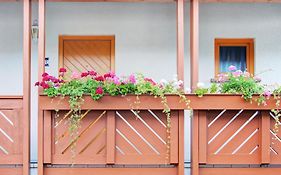 Apartment Landhotel Zum Storchennest